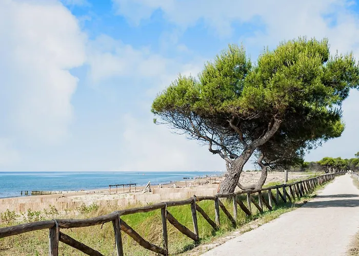 Quiet Flat With Garden Access *