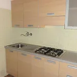 Quiet Flat With Garden Access Апартаменти *
