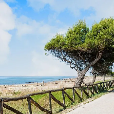 Quiet Flat With Garden Access *